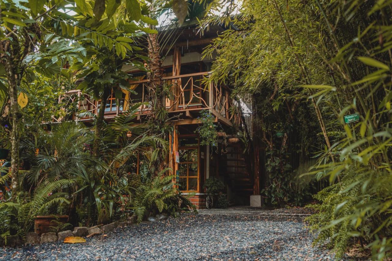 Hostal Las Palmas Puyo Exterior photo